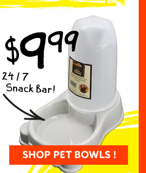 Shop Pet Bowls